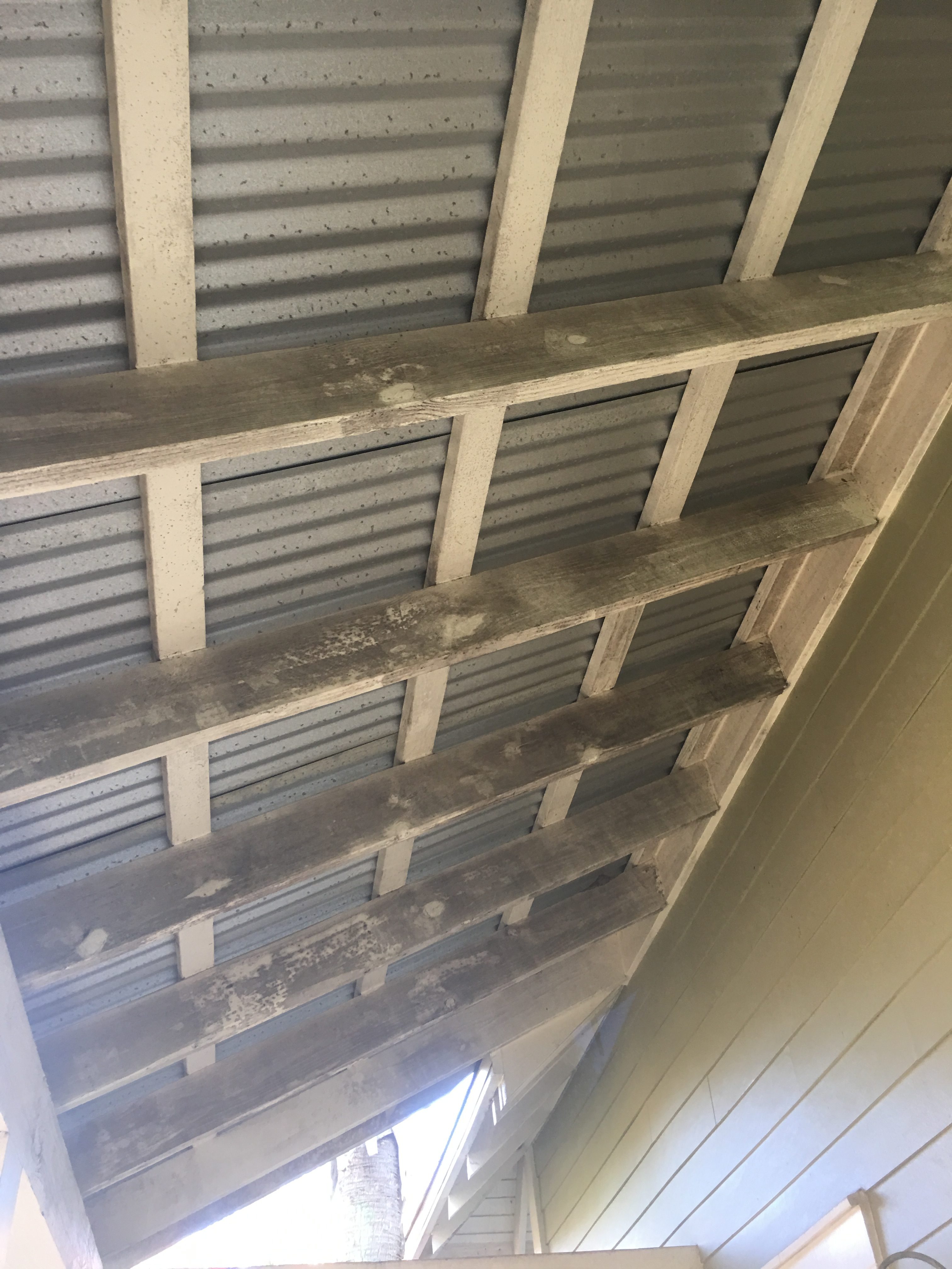 soft wash cleaners Outdoor Extreme Clean